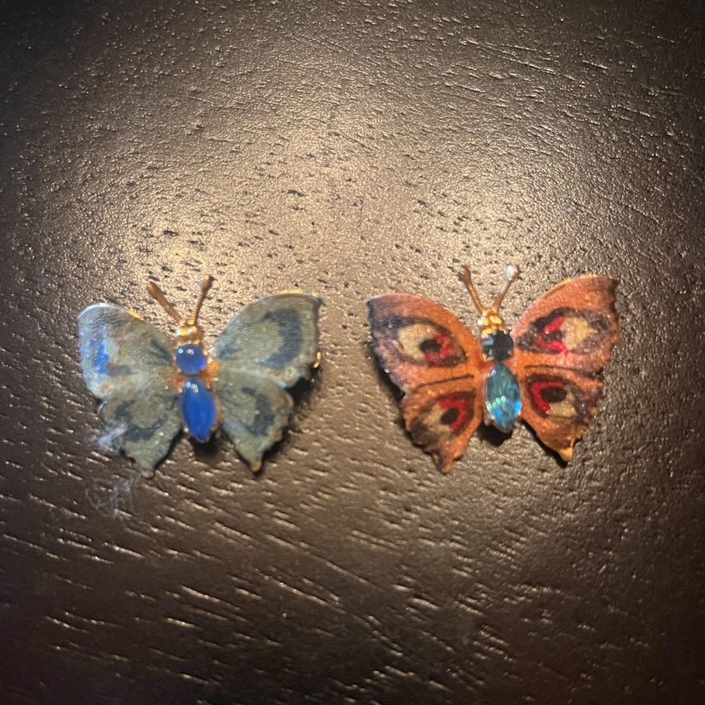 Vintage Butterfly Enamel Brooch Set